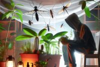 Mengenal Hama yang Sering Menyerang Tanaman Indoor dan Cara Membasminya Mengenal Hama yang Sering Menyerang Tanaman Indoor dan Cara Membasminya