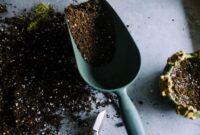 Sistem Self-Watering Indoor: Tips Berkebun di Dalam Rumah yang Hemat Waktu dan Anti Tanah Cepat Kering