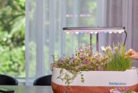photo-1562833251-46e7b114825d Smart Herb Garden Indoor: Cara Membuat Kebun Rempah Pintar di Rumah yang Praktis dan Estetik