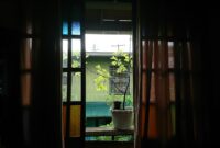photo-1722916289507-a1e7c3739c8a Kebun Dapur Indoor Microgreens: Solusi Berkebun di Dalam Rumah yang Cepat Panen