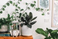 Plant Corner untuk WFH: Ide Dekorasi dengan Tanaman yang Bikin Area Kerja Lebih Fokus dan Estetik