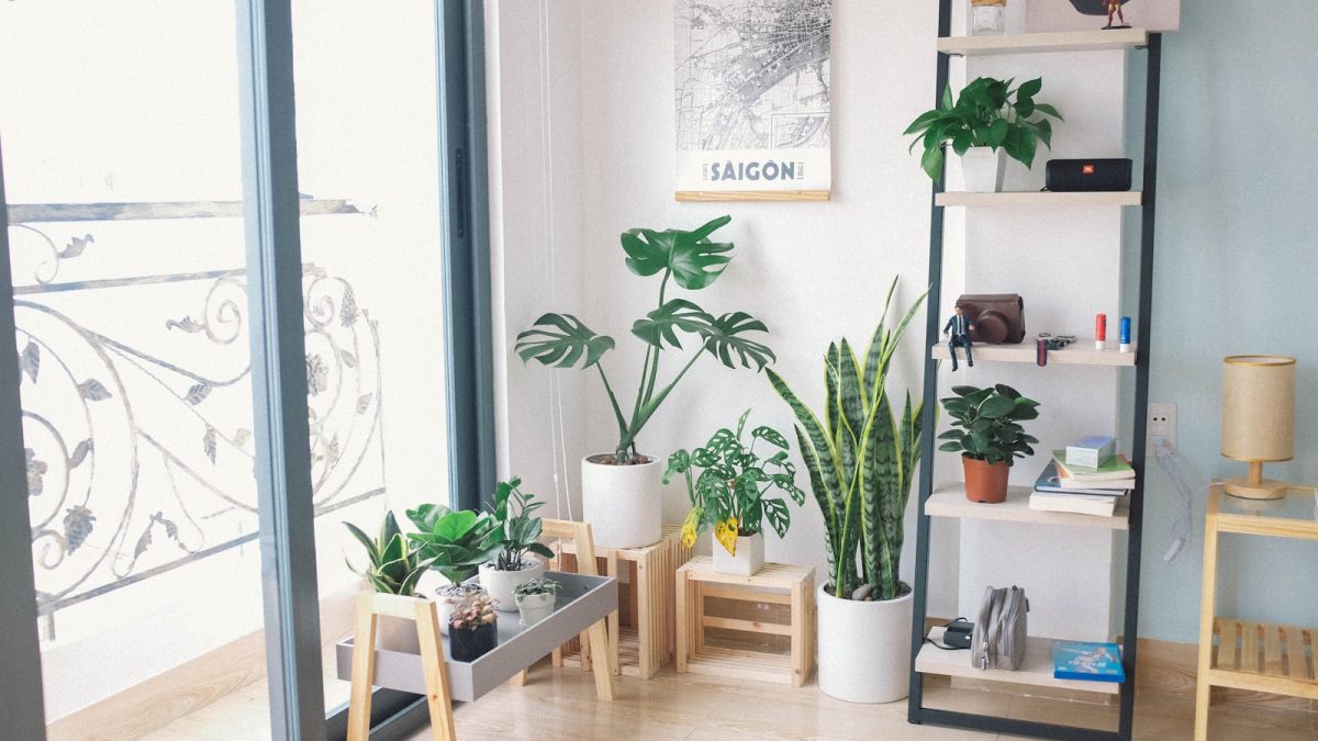 Mood Gardening Indoor: Tips Berkebun di Dalam Rumah untuk Sudut Healing yang Produktif
