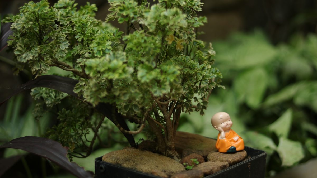 Tabletop Jungle: Ide Dekorasi dengan Tanaman Mini untuk Meja Makan yang Estetik dan Fungsional