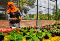 Karantina Tanaman Baru: Cara Mencegah Hama Menular ke Koleksi Tanaman Hias Indoor
