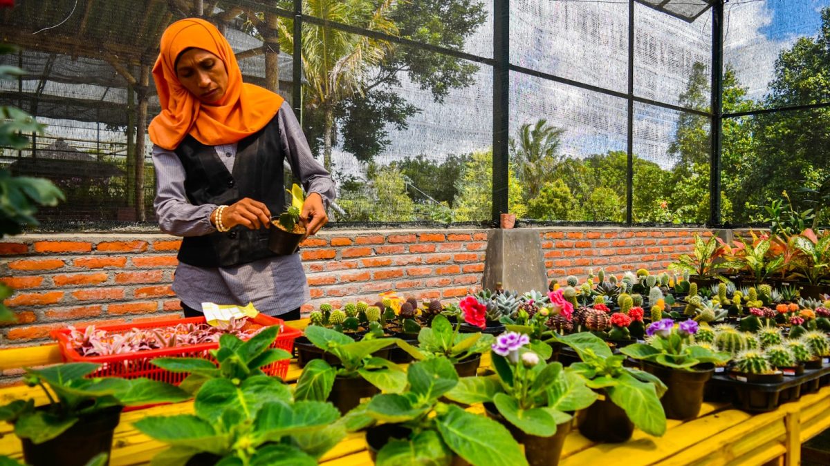 Karantina Tanaman Baru: Cara Mencegah Hama Menular ke Koleksi Tanaman Hias Indoor