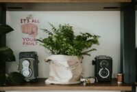 photo-1674376360467-1a408eb39bc6 Shelfie Garden Indoor: Tips Berkebun di Dalam Rumah dengan Rak Tanaman Modular yang Rapi dan Fleksibel
