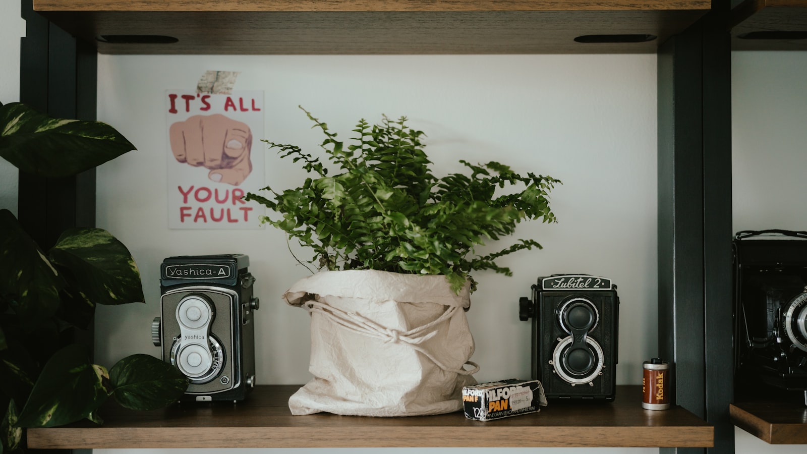 Shelfie Garden Indoor: Tips Berkebun di Dalam Rumah dengan Rak Tanaman Modular yang Rapi dan Fleksibel