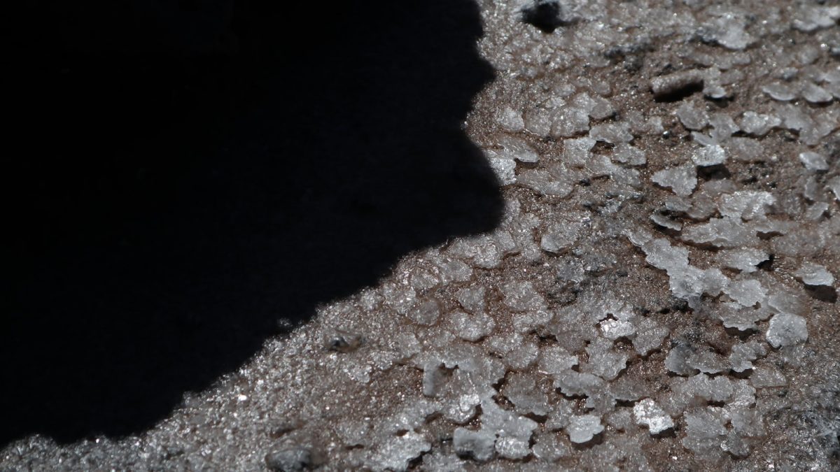 Tanaman Hias Indoor Keracunan Pupuk? Kenali Tanda Salt Buildup dan Cara Mengatasinya
